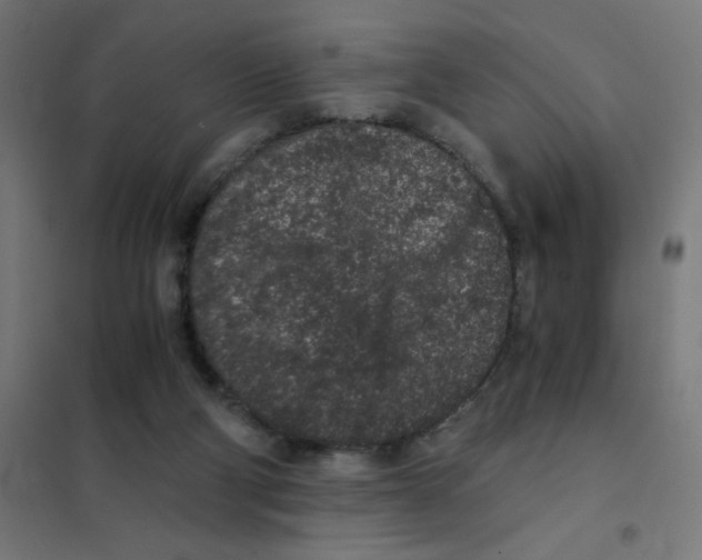 X0000101430114200808041200