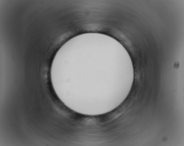 X0000101430115200808041200