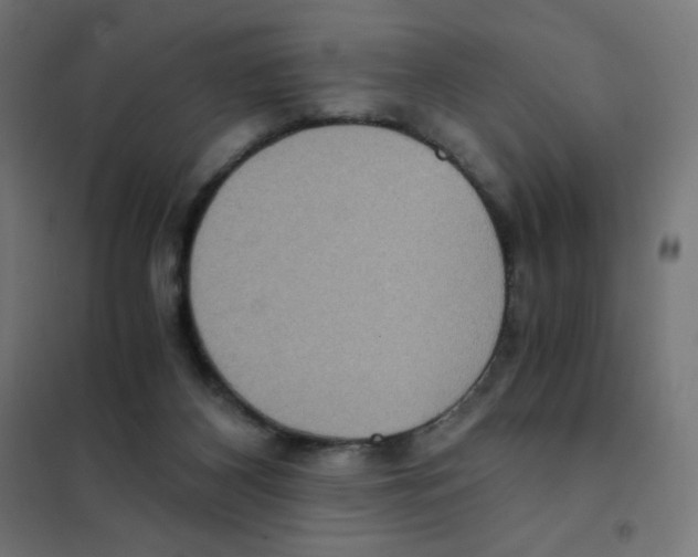 X0000101430116200808041200