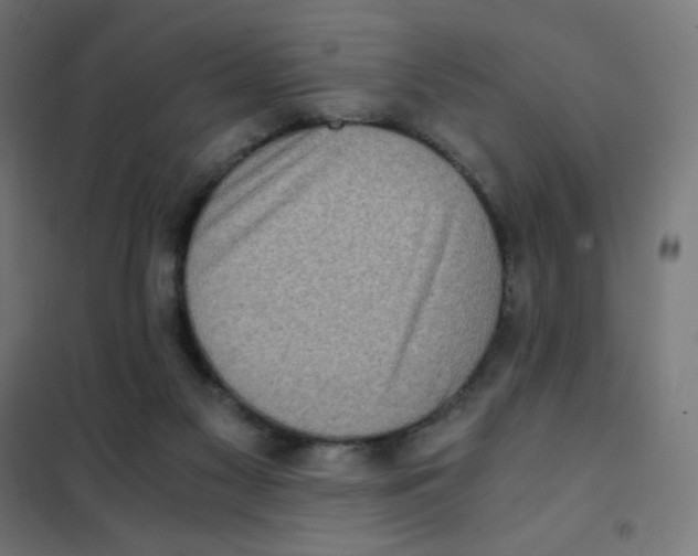 X0000101430117200808041200