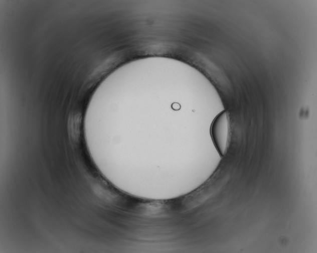 X0000101430118200808041200