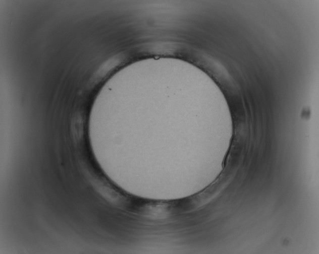 X0000101430120200808041200