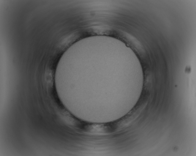 X0000101430121200808041200