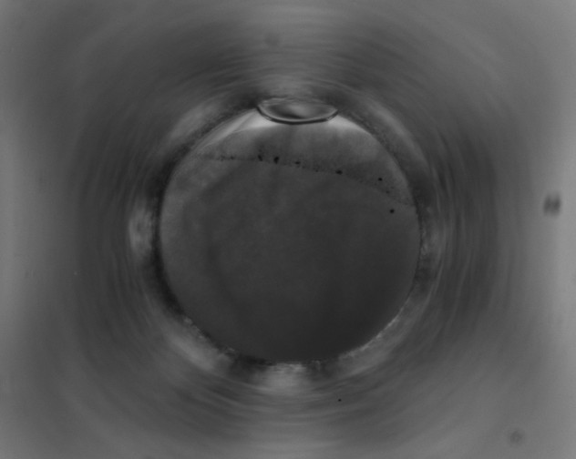 X0000101430124200808041200