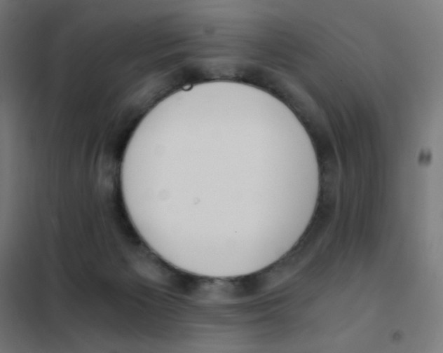 X0000101430125200808041200