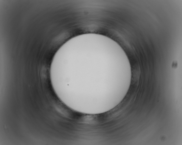 X0000101430126200808041200