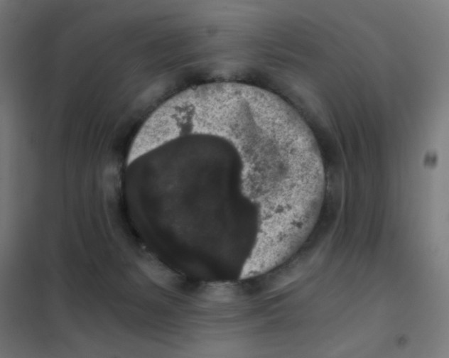 X0000101430127200808041200