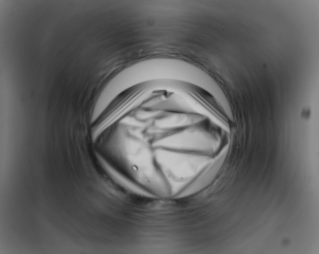 X0000101430128200808041200