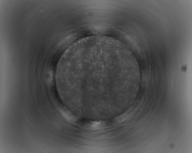 X0000101430130200808041200