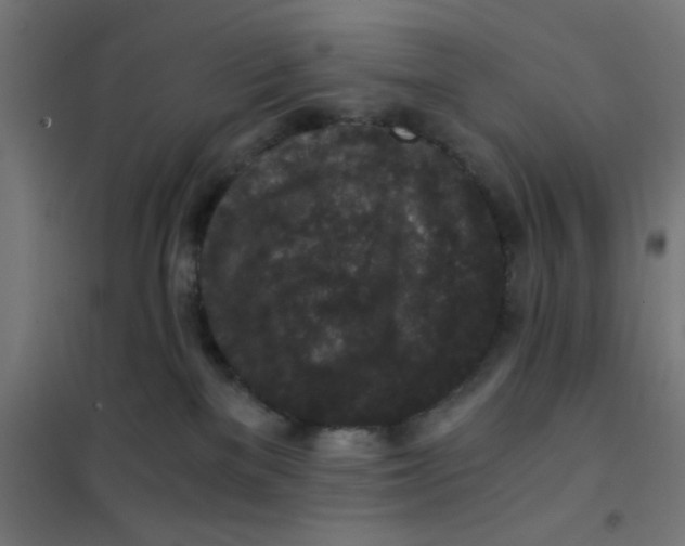 X0000101430137200808041200