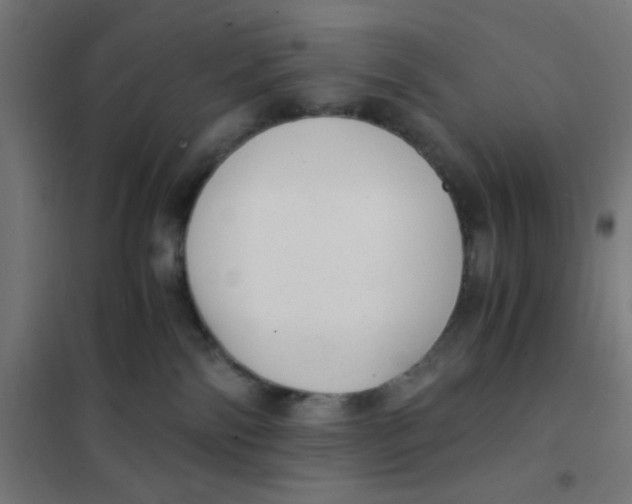 X0000101430138200808041200