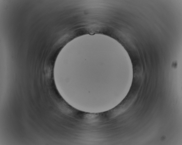 X0000101430139200808041200