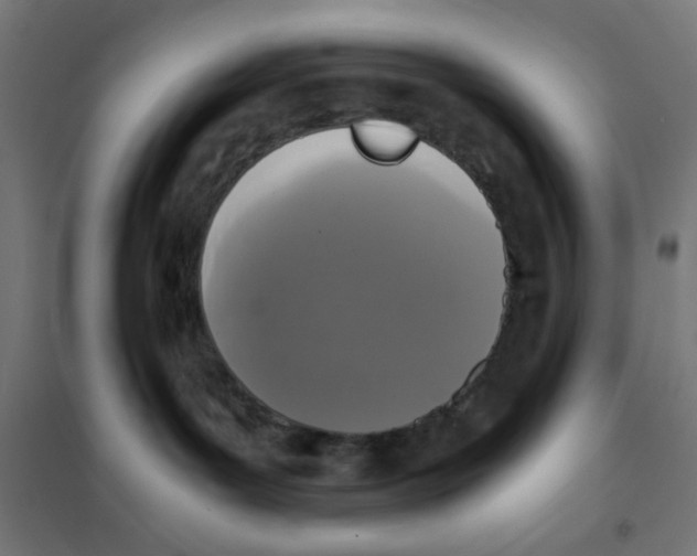 X0000101430143200808041200