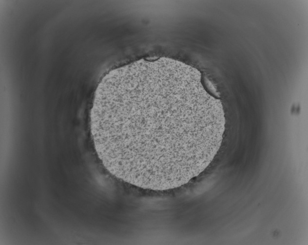 X0000101430144200808041200