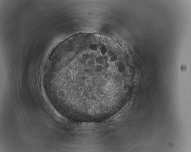 X0000101430145200808041159