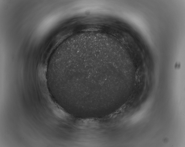 X0000101430146200808041159