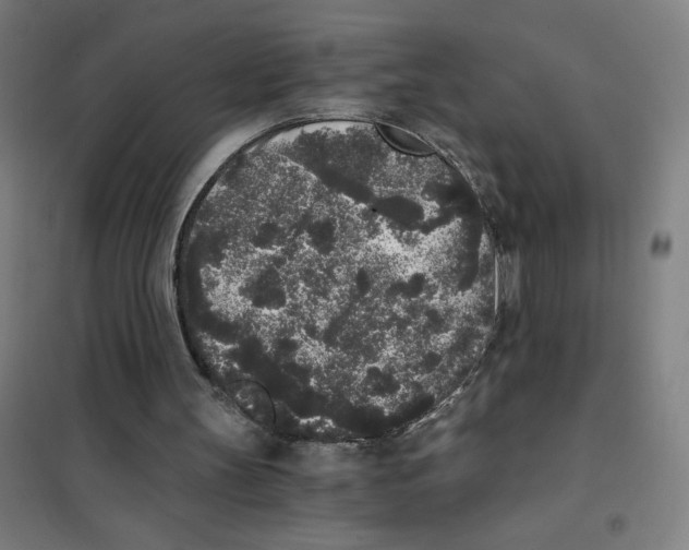 X0000101430147200808041159