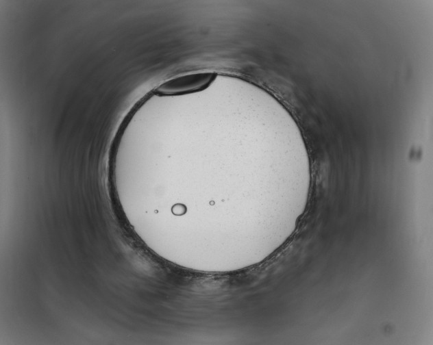 X0000101430148200808041159