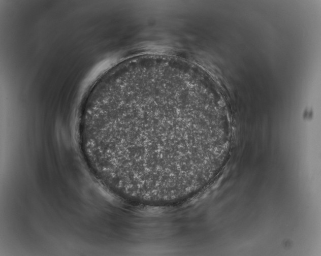 X0000101430149200808041159