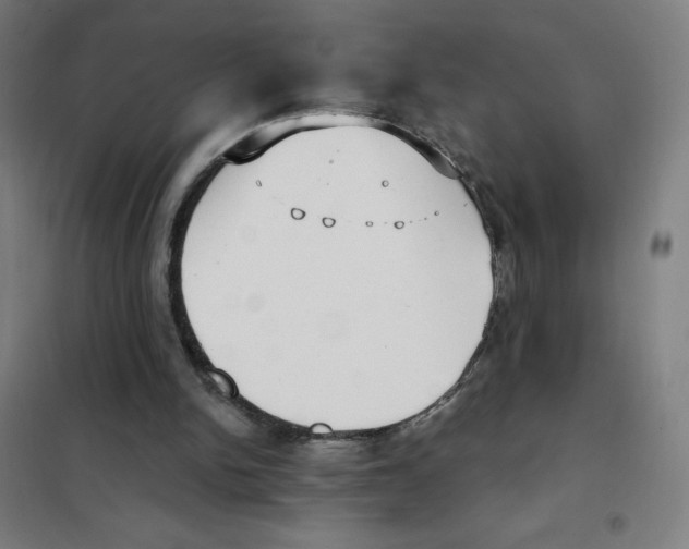 X0000101430150200808041159