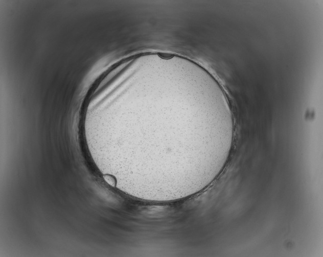 X0000101430151200808041159