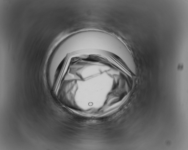 X0000101430152200808041159