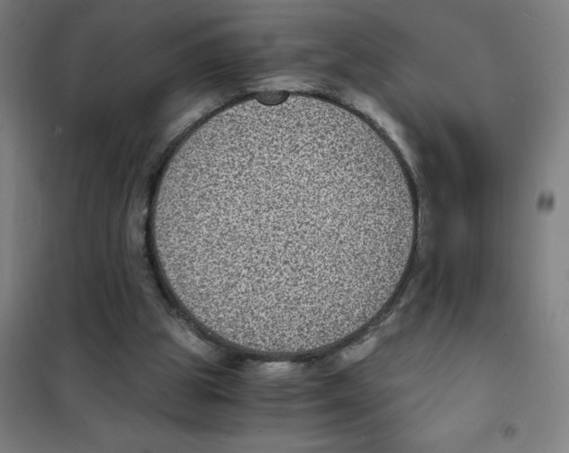 X0000101430153200808041159