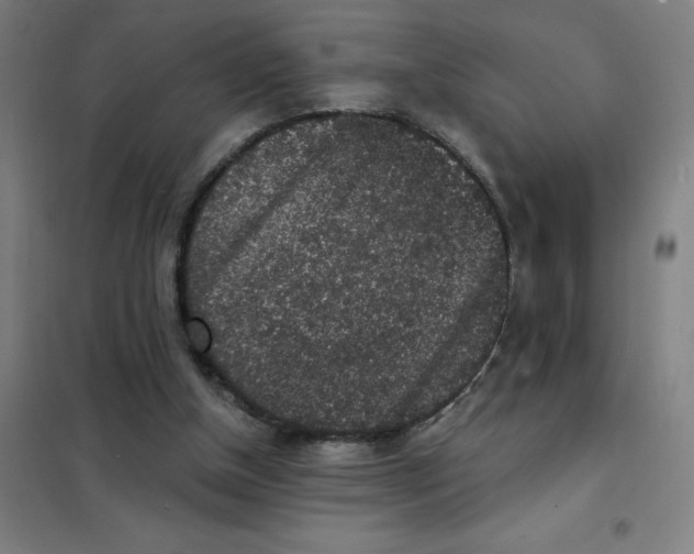 X0000101430154200808041159