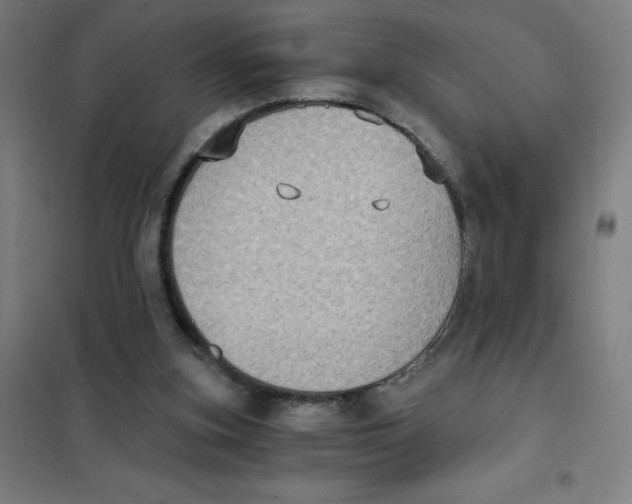 X0000101430155200808041159