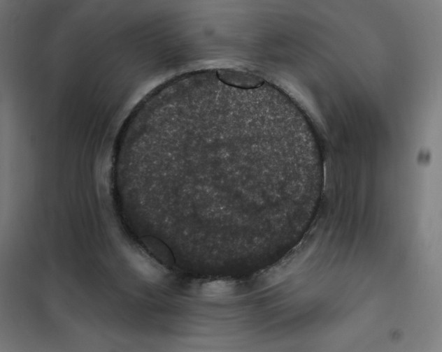 X0000101430156200808041159