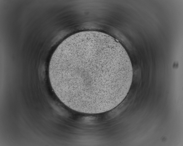 X0000101430158200808041159