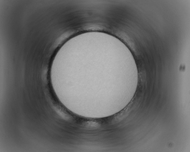 X0000101430159200808041159