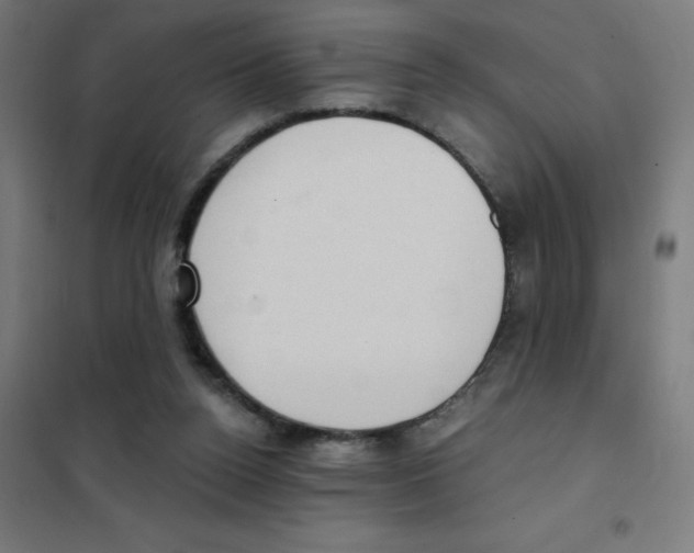 X0000101430160200808041159