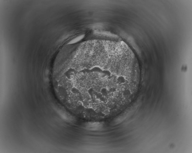 X0000101430161200808041159