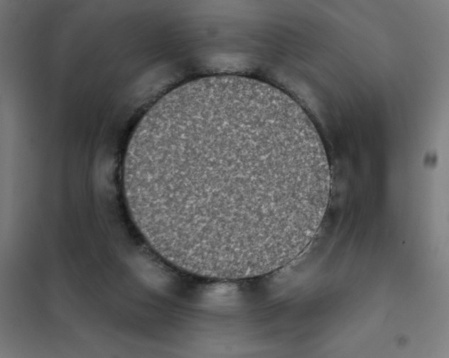 X0000101430162200808041159