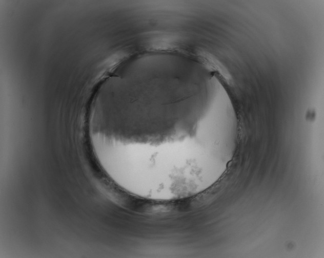 X0000101430163200808041159