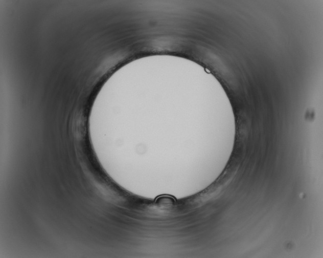 X0000101430164200808041159