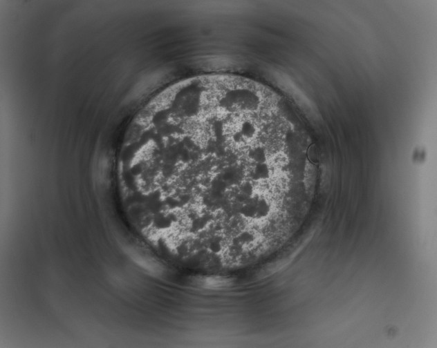 X0000101430165200808041159