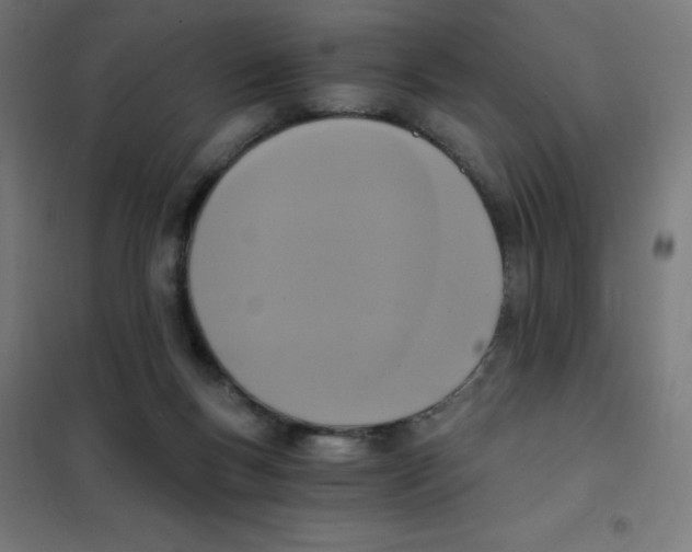 X0000101430167200808041159