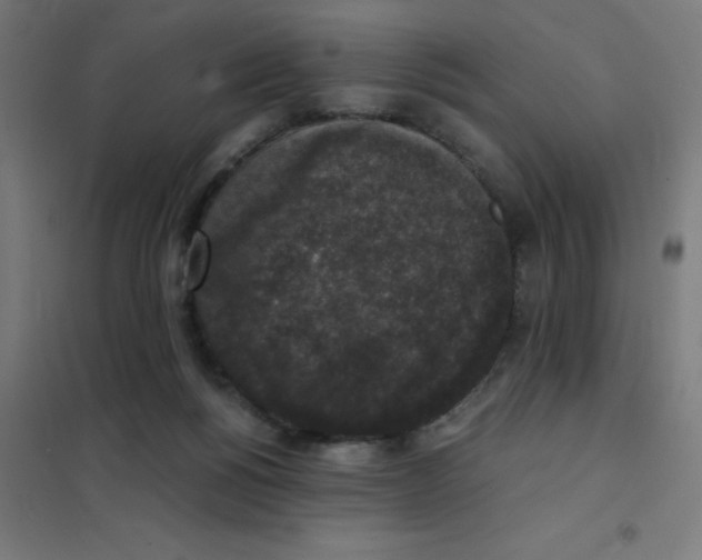 X0000101430168200808041159