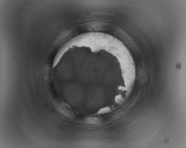 X0000101430169200808041159