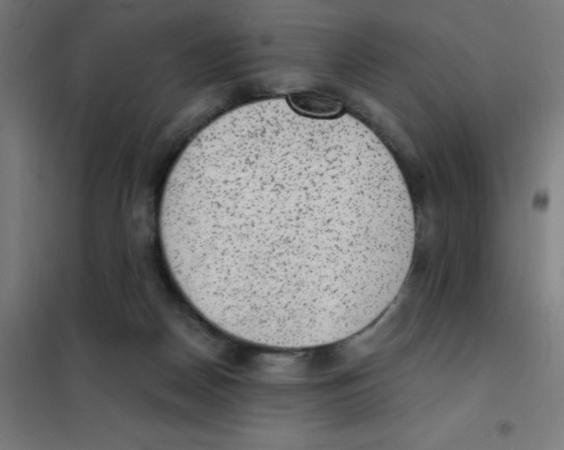 X0000101430170200808041159