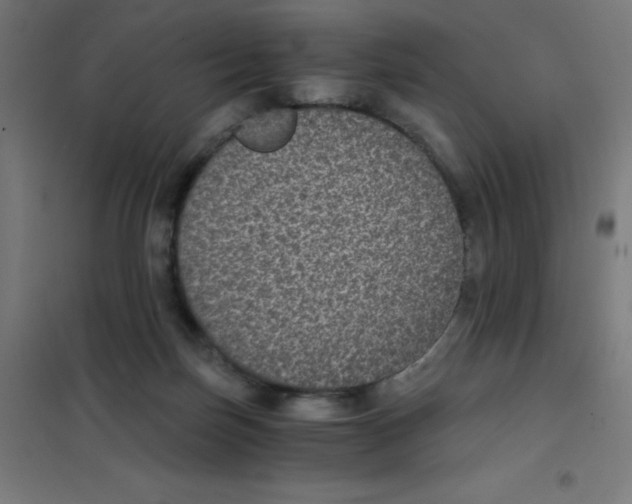 X0000101430171200808041159