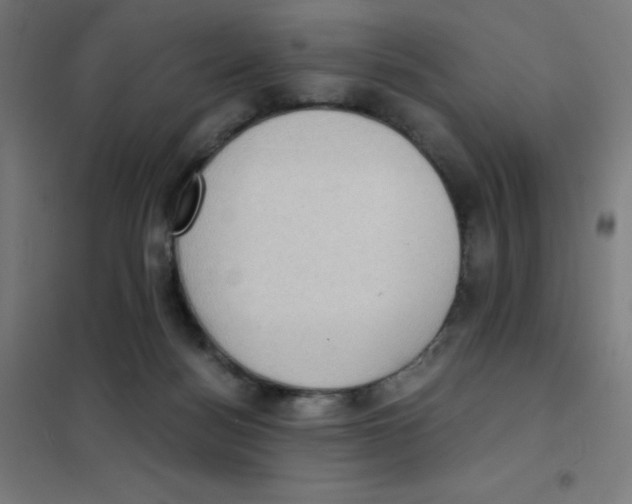 X0000101430172200808041159