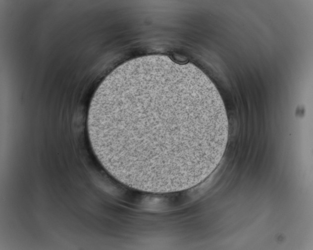 X0000101430174200808041159