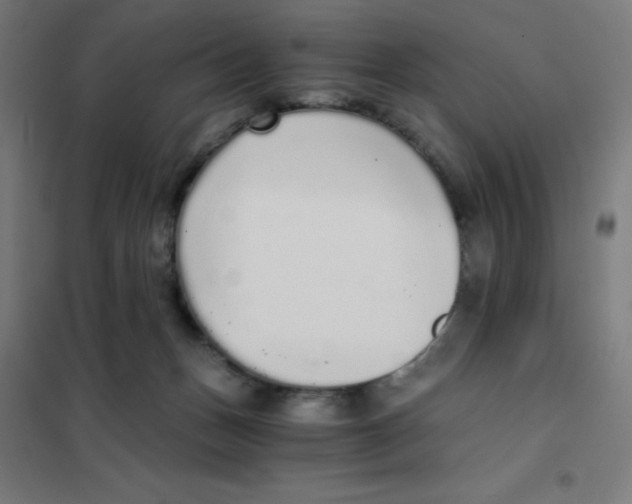 X0000101430175200808041159