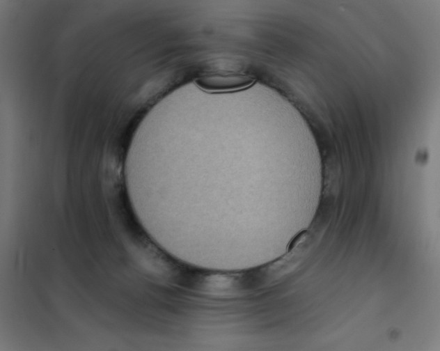 X0000101430176200808041159