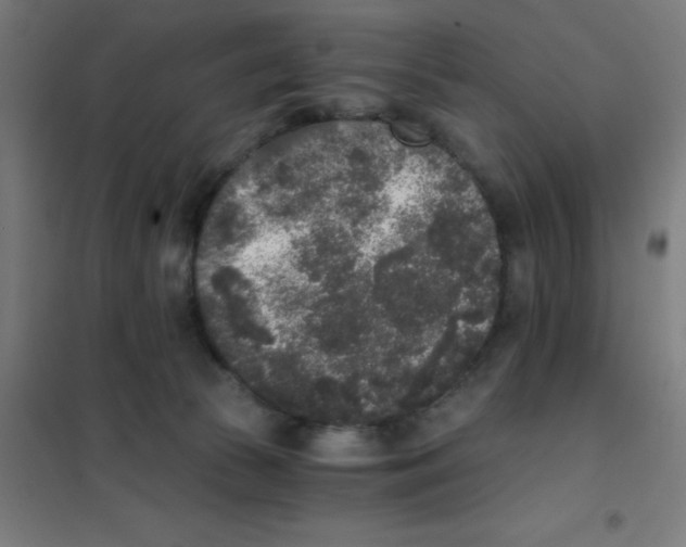 X0000101430177200808041200