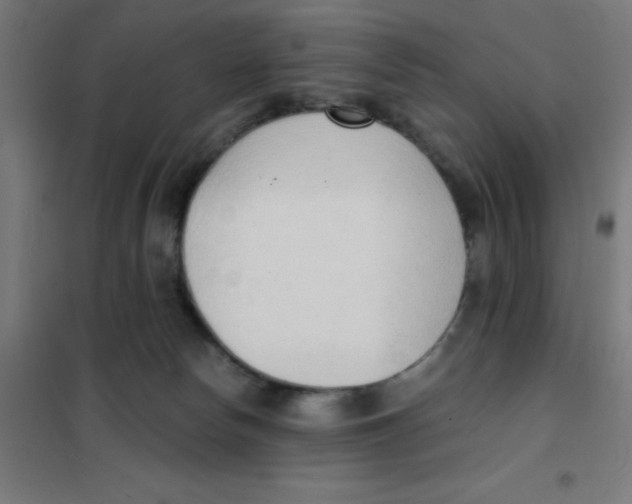 X0000101430178200808041200