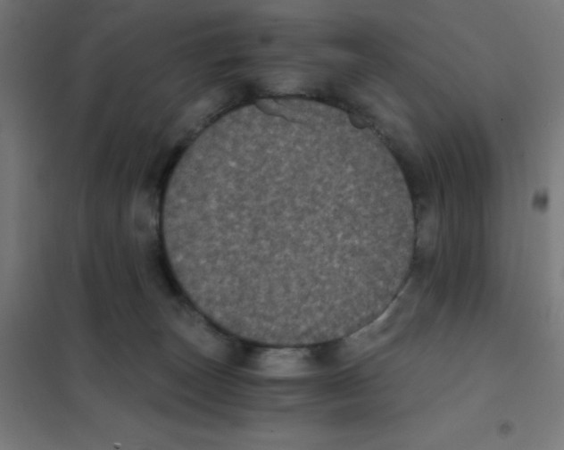 X0000101430179200808041200